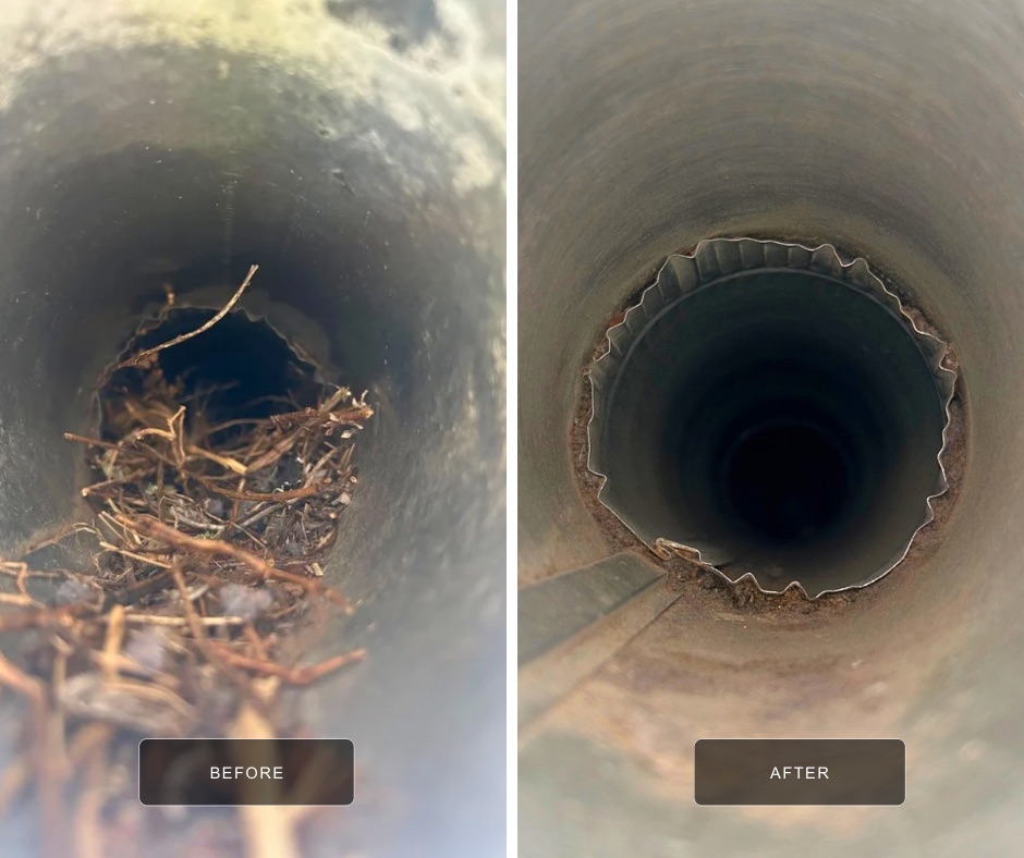 Before-and-after split image of bird-nest removal